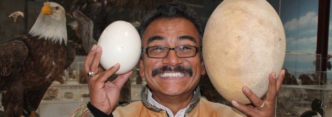 11063140_1554331601502587_389122120_n rene