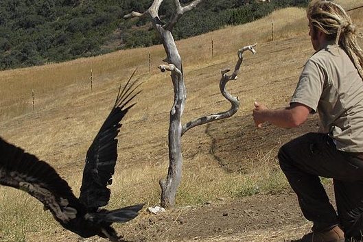 5040114994_54dde55bff_o