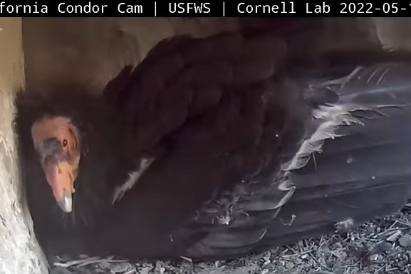 52081057663_91a8b05fdd_o