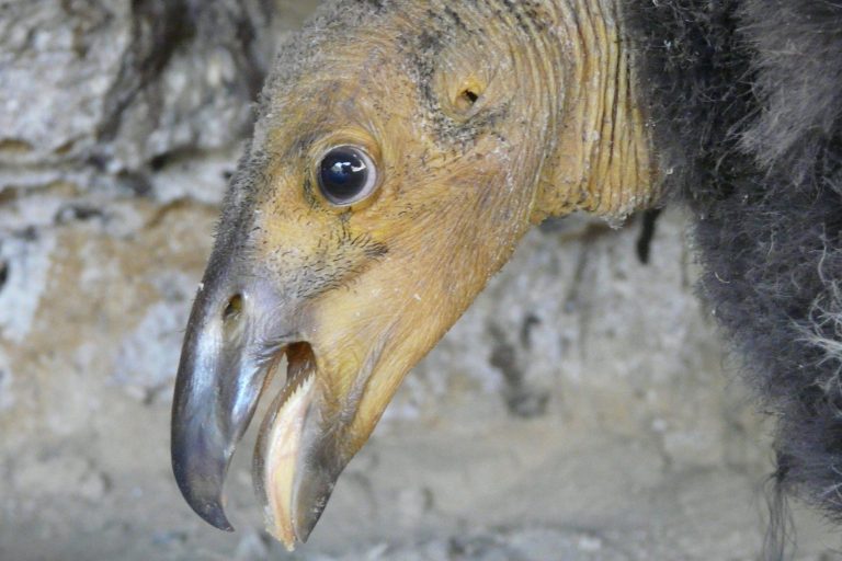 52083045165_0539600dd8_o