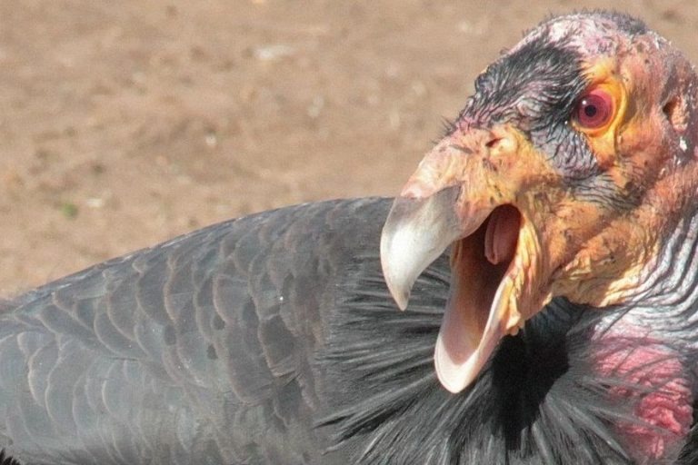 6391185515_7355bef838_o