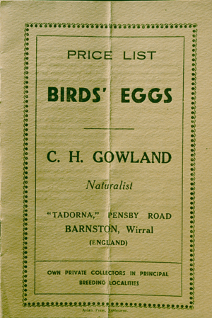 birds eggs pricelist