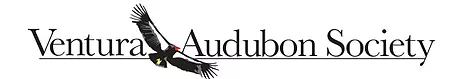 ventura audubon logo