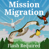missionmigration