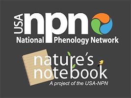 natures notebook