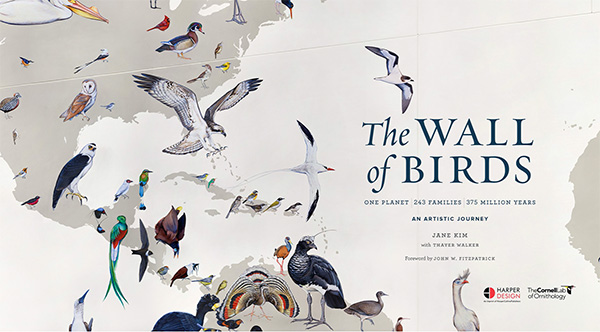 the wall of birds