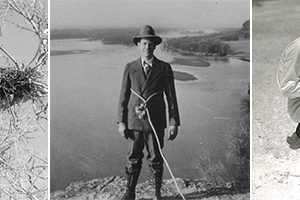 egg collectors egg collectors