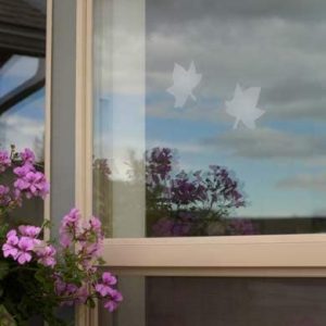window-decal-maple-2