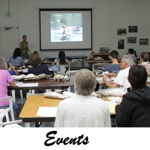 Events