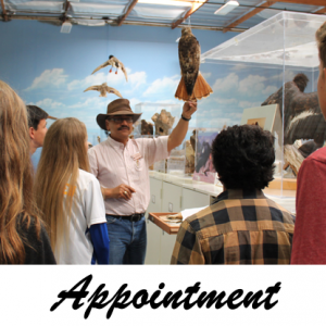 Appointment