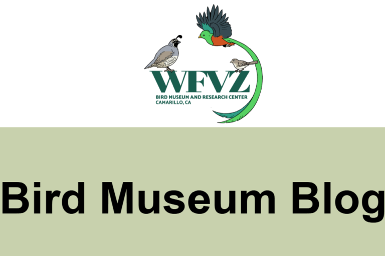 visitvirtually